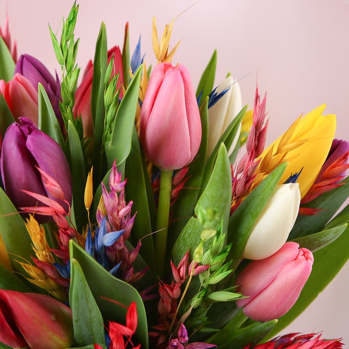 Парящая невинность природы