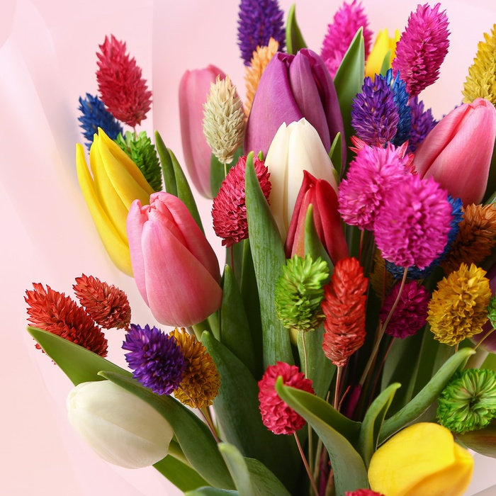 Радуга страсти